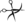 Schaar Black